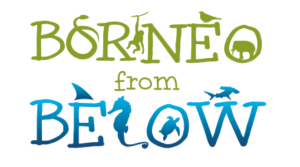 Borneo from Below logo