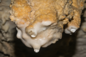 Detail shots of stalactites and stalagmites