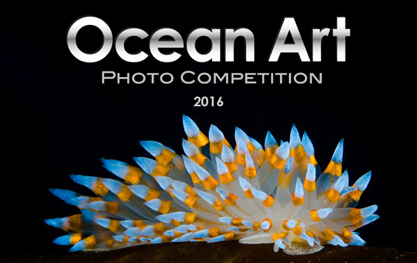 Ocean Art Contest logo 2016