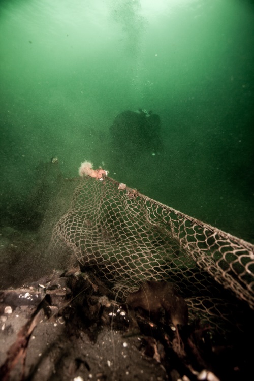 Removing a ghost net in Nesodden - Norway