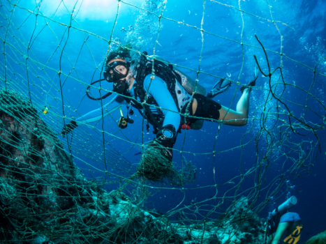 Nets in Samran Pinnacle - Gulf of Thailand