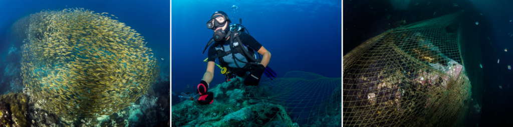 Critters and nets in Samran Pinnacle - Gulf of Thailand
