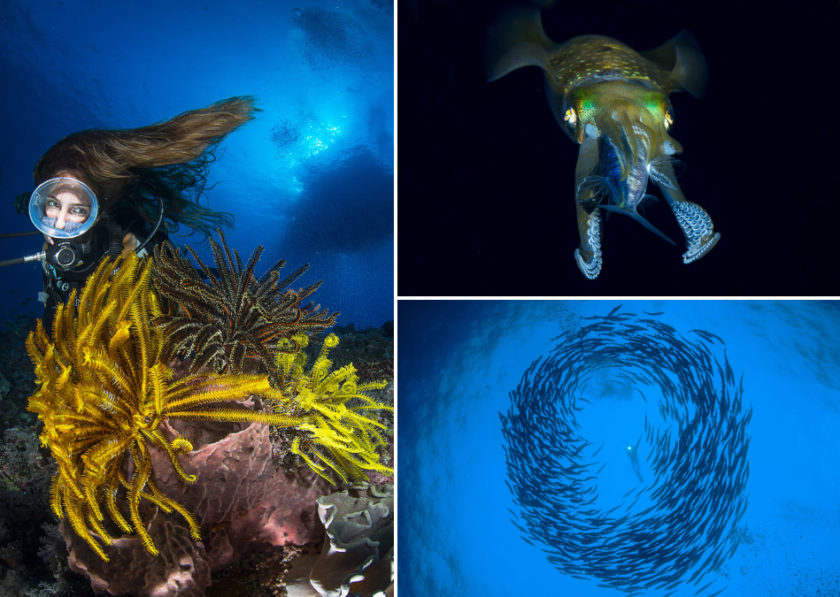 Diving in Papua New Guinea