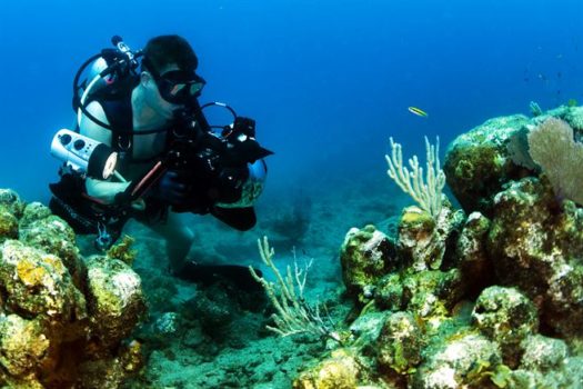 underwater photography guide for beginners